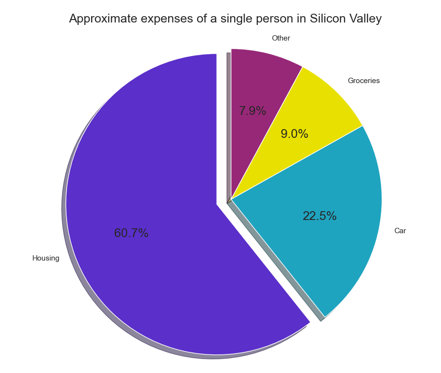 Expenses of a single person in Silicon Valley