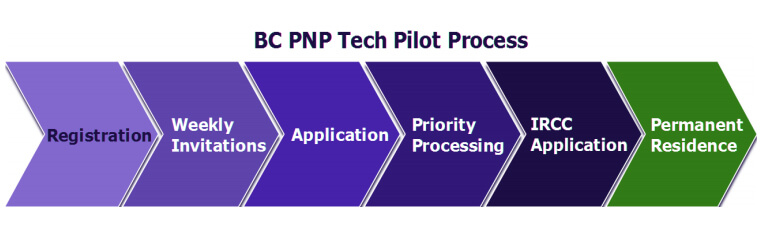 BC PNP Tech Pilot Process