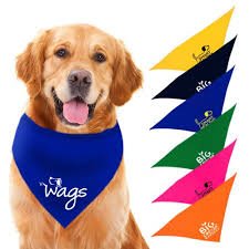 How to Design Reversible Custom Dog Bandanas That Double as Style Switchers